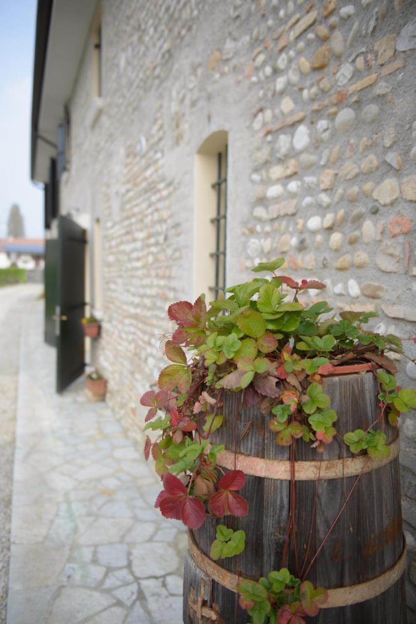 Ca' Premuda Locazione Turistica Villa Codognè Exterior foto